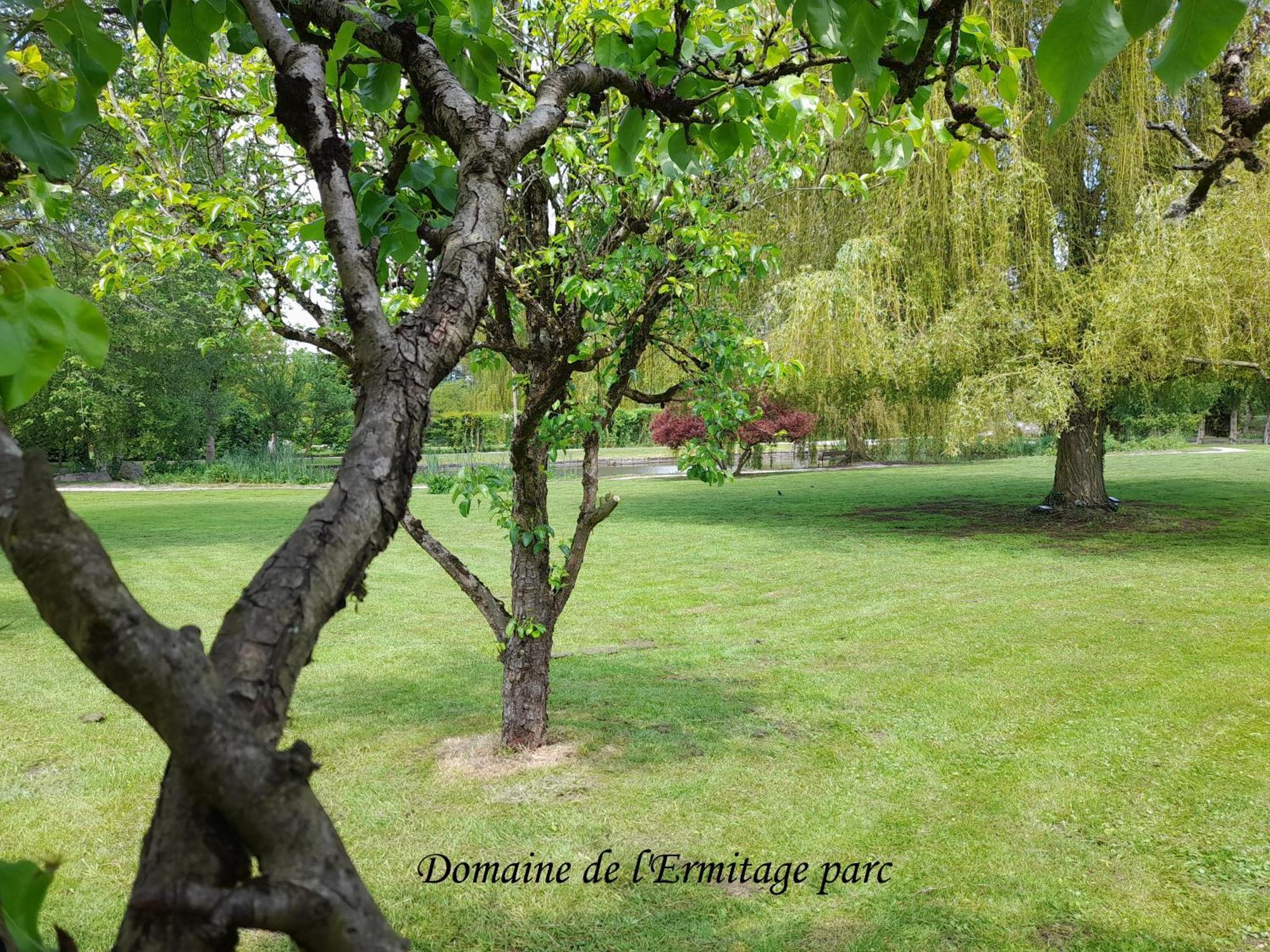 Domaine De L'Ermitage Villa Rue  Eksteriør billede